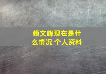 赖文峰现在是什么情况 个人资料